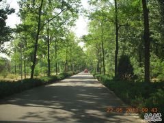 DSCN8882-顺鑫绿色度假村