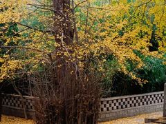 -青岛崂山太清宫