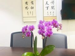 -上海政博律师事务所