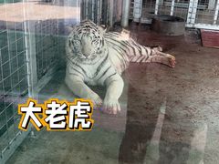 -无锡动物园·太湖欢乐园
