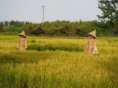 -红光农场·露营·亲子·采摘
