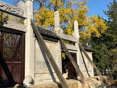-苏州文庙(姑苏区)