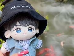 -蟹村草堂·苏式园林人文农家·大闸蟹