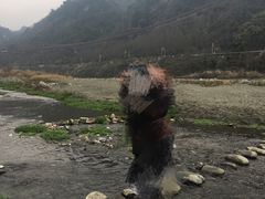 -海窝子古镇