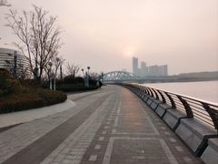 -星光岛