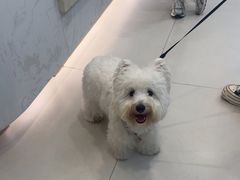 -虹泰宠物医院 ·旗舰店·24h(南秀路店)