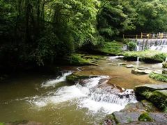 -碧峰峡风景区