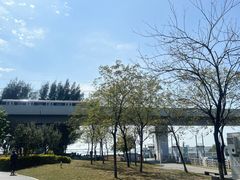 -宝安西湾红树林湿地公园