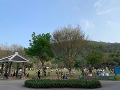 -火炉山森林公园