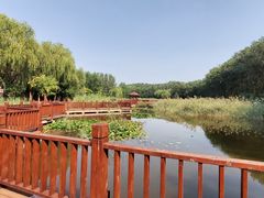 -塘沽森林公园