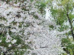 -玉山公园