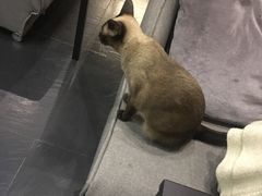 -吱咖啡西式简餐