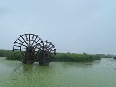 -宁波杭州湾国家湿地公园
