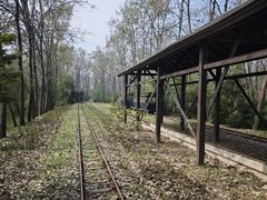 -合肥滨湖国家森林公园