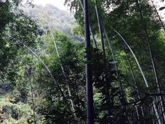 -仙岛湖旅游风景区