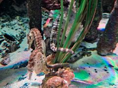 -沈阳海洋探索中心