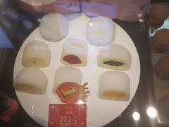 -西树泡芙(北京金源2店)