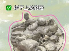 -尼莫儿童美术(三阳路融科天城校区)