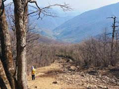 -安吉龙王山风景区