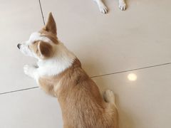 -平行世界·猫咖(首经贸店)