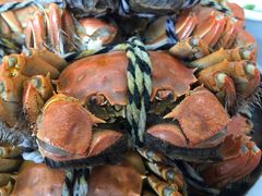 -丫丫蟹庄·苏式园林农家乐·阳澄湖大闸蟹(阳澄湖莲花岛店)