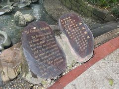 -成都市活水公园