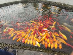 -成飞公园
