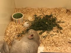 -龙猫仔乐园(惠福东路店)