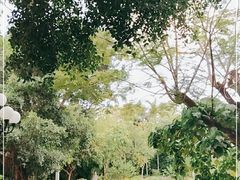 -荔枝公园(福田区)