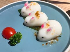 -探窝·竹笙椰子鸡(杨箕店)