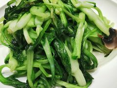 清炒广东菜心-小厨娘淮扬菜(六合欢乐港店)