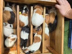 -正佳雨林生态植物园