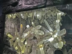 -湖南省地质博物馆