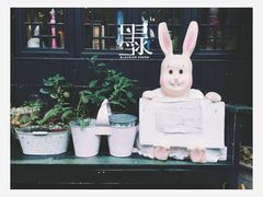 -朱氏胖子烂火锅(洪崖洞店)