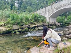 -重庆彩云湖湿地公园