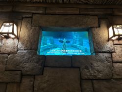 -翱翔飞越地平线