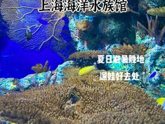 -上海海洋水族馆