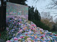 -上海共青森林公园