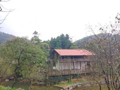 -广州市帽峰山景区