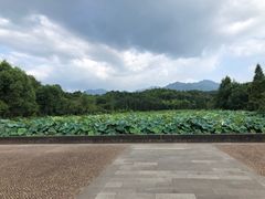 -清漾毛氏文化村