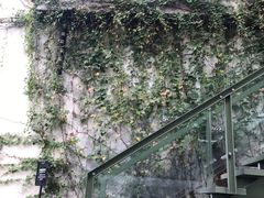 -喜洲吧·江畔老船厂·庭院餐厅(喜临院店)