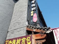 -老槐树煎包