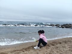 -广东惠东海龟国家级自然保护区