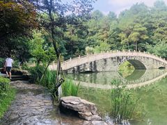 -铁山坪森林公园