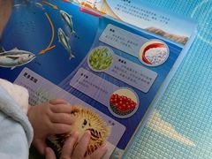 -烟台海昌鲸鲨海洋公园