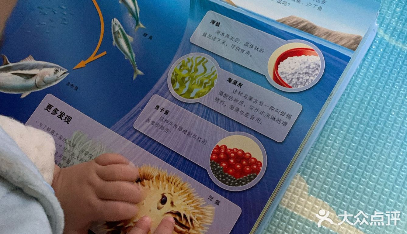 在家也能复习功课