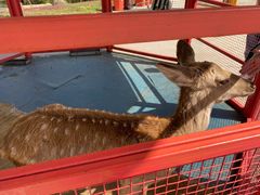 -威海华夏城景区