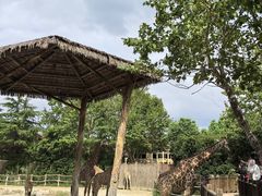 -上海野生动物园