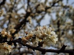 -白鹭洲公园