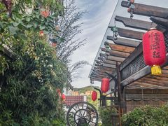 -慢丽江·云南野生菌土鸡锅(付家庄店)